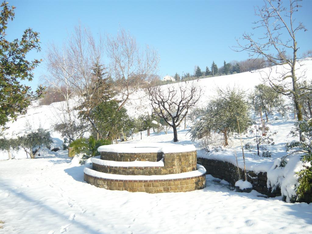 Agriturismo Il Bacucco Montecarotto Exterior foto