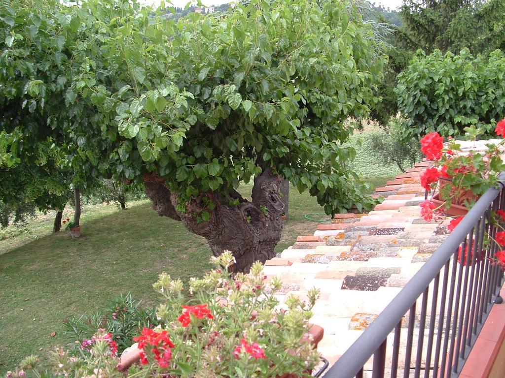 Agriturismo Il Bacucco Montecarotto Exterior foto