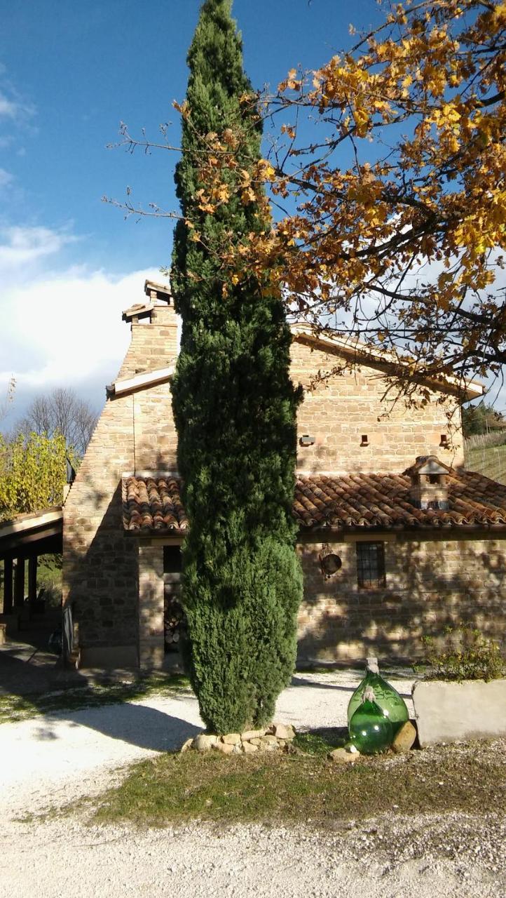 Agriturismo Il Bacucco Montecarotto Exterior foto