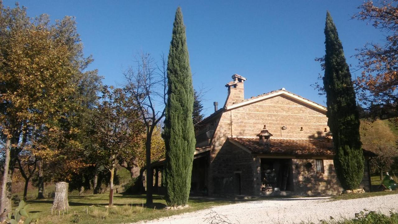 Agriturismo Il Bacucco Montecarotto Exterior foto